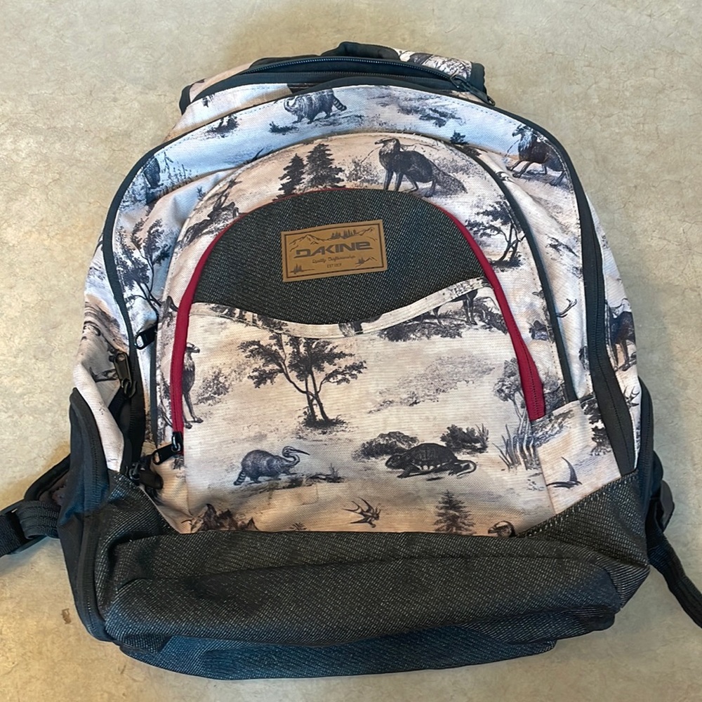 Dakine school backpack
